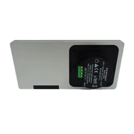 Shelly Wall Display X2 WiFi/BLU (White)